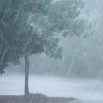 ୧୨ଟି ରାଜ୍ୟରେ ବର୍ଷା ଓ କୁଆପଥର ମାଡ଼ ସତର୍କତା