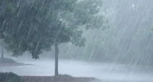 ୧୨ଟି ରାଜ୍ୟରେ ବର୍ଷା ଓ କୁଆପଥର ମାଡ଼ ସତର୍କତା